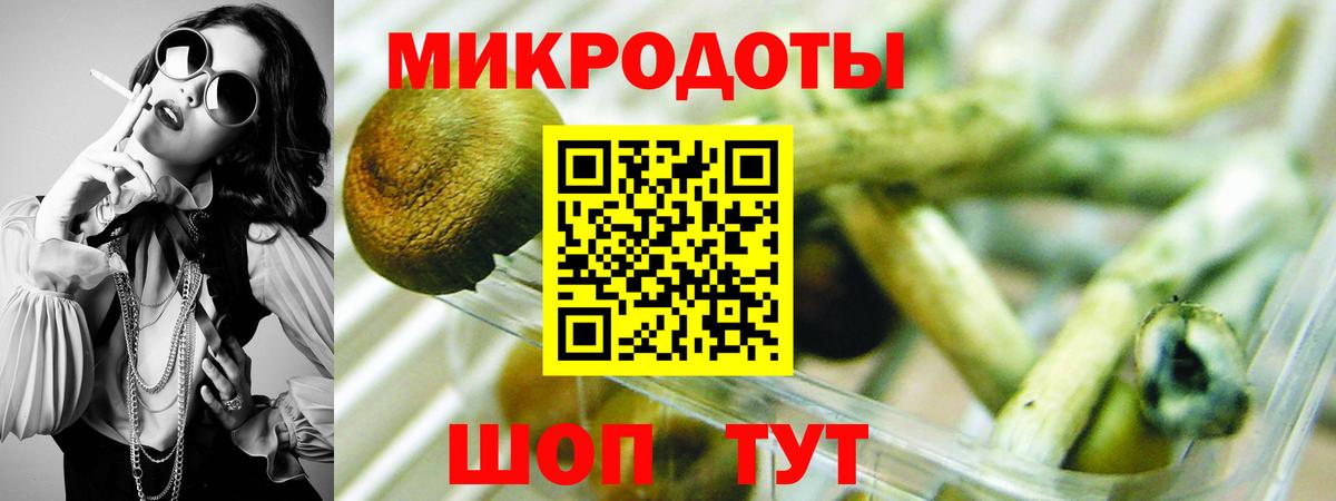 купить   Вход с VPN  Зима  Галлюциногенные грибы мухоморы  Галлюциногенные грибы Psilocybine cubensis 