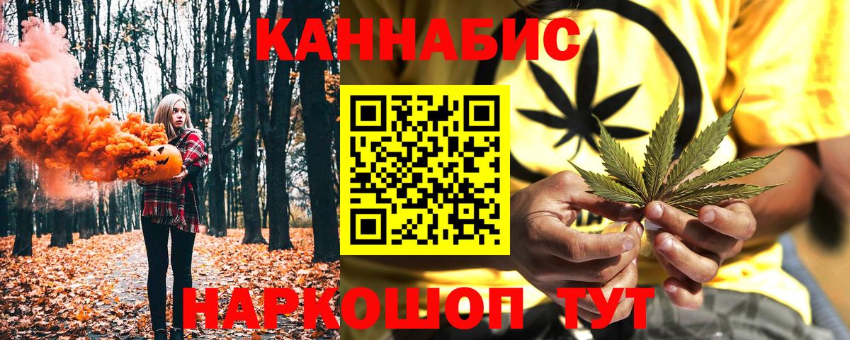 Канабис планчик Зима