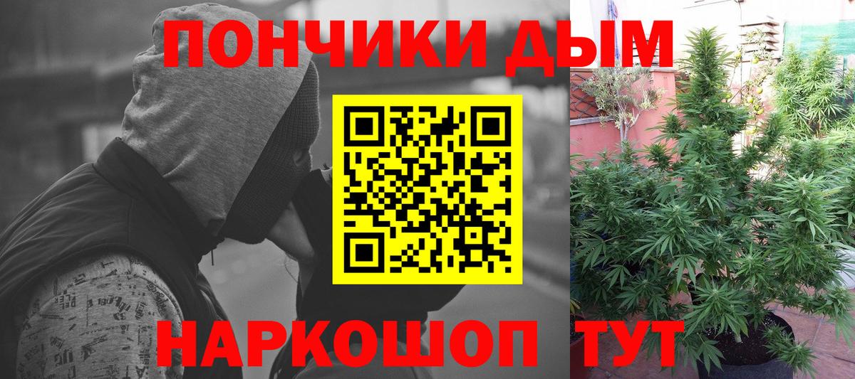 Зима  Конопля семена  Бошки Шишки планчик  Марихуана THC 21%  Вход с VPN  МАРИХУАНА OG Kush 